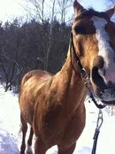 -mOCFgg_kw8.webp