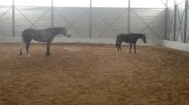 eMTzZt19Hnc.webp