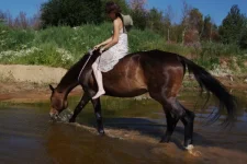 хохлома (600x401).webp