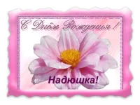 f55dc1f26c15.webp