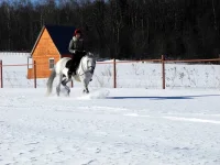 DSCN2757.webp