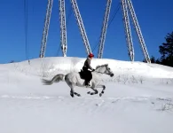DSCN2789.webp