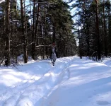DSCN2809.webp