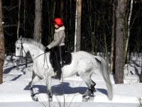 DSCN2837.webp