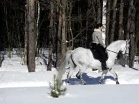 DSCN2876.webp