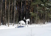 DSCN2896.webp