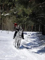DSCN2914.webp