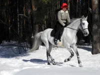 DSCN2921.webp
