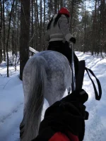 DSCN2958.webp