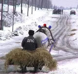 Конная ДПС.webp