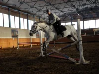 DSCN2966.webp