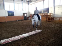 DSCN2968.webp
