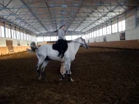 DSCN2971.webp