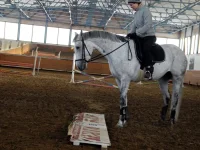 DSCN2973.webp