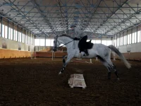 DSCN2974.webp
