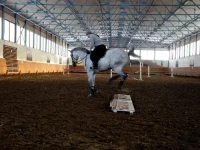 DSCN2976.webp