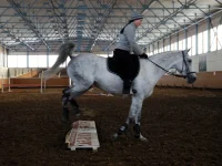 DSCN2978.webp