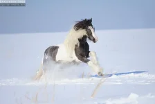 45644_4097096405757_164497703_n.webp
