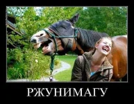 ржунимагу.webp