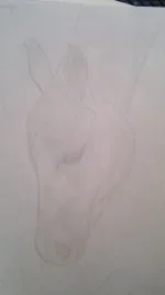 aavdtrxbw48.webp