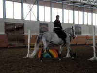 DSCN3080.webp