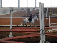 DSCN3089.webp