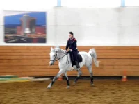 DSCN3093.webp