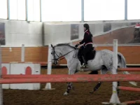 DSCN3114.webp