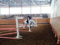 DSCN3120.webp