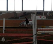 DSCN3125.webp