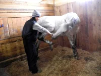 DSCN3131.webp