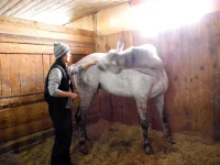 DSCN3135.webp