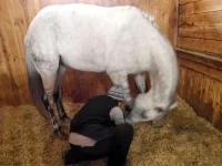 DSCN3139.webp