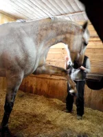 DSCN3151.webp