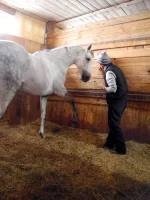 DSCN3152.webp