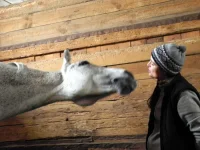 DSCN3156.webp