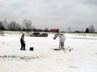DSCN3158.webp