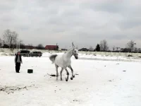 DSCN3160.webp