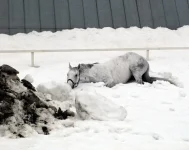 DSCN3169.webp
