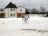 DSCN3175.webp
