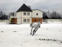 DSCN3176.webp