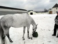 DSCN3182.webp