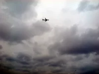 DSCN3180.webp