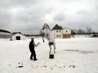DSCN3183.webp