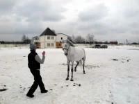 DSCN3190.webp