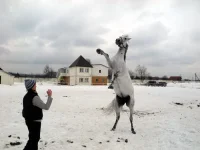 DSCN3191.webp