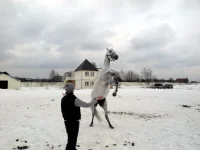 DSCN3193.webp