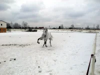 DSCN3199.webp
