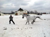 DSCN3200.webp