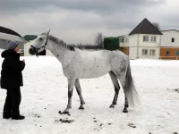 DSCN3216.webp